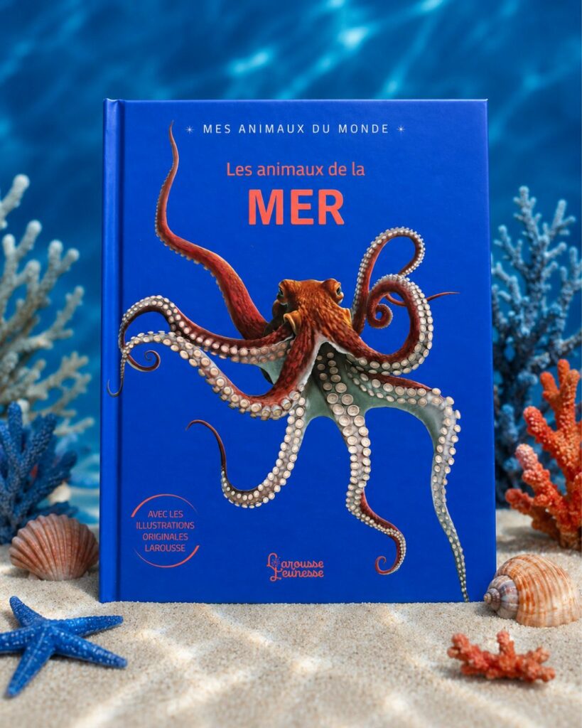 Les Animaux De La Mer